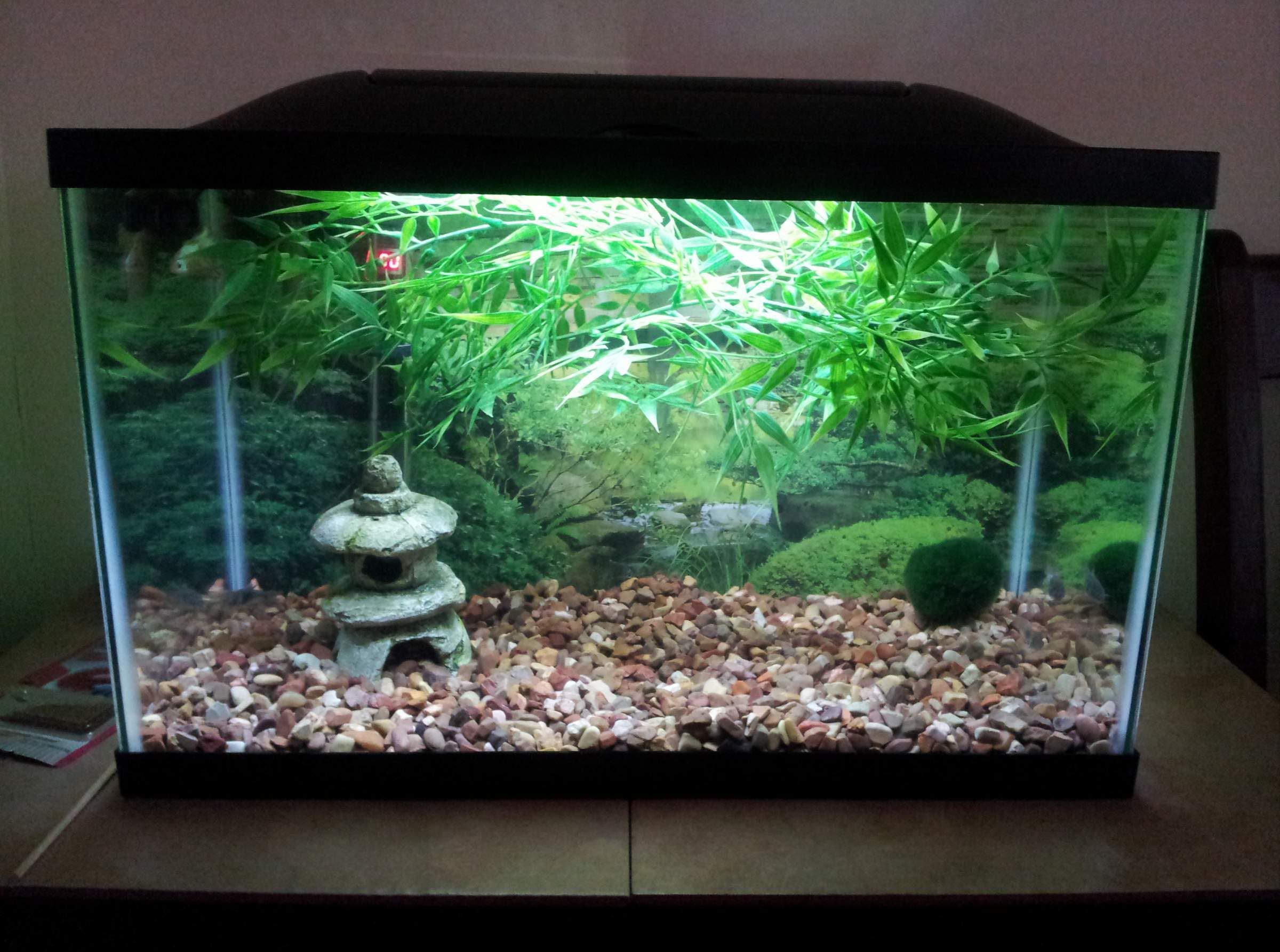 Japanese-style aquarium decor