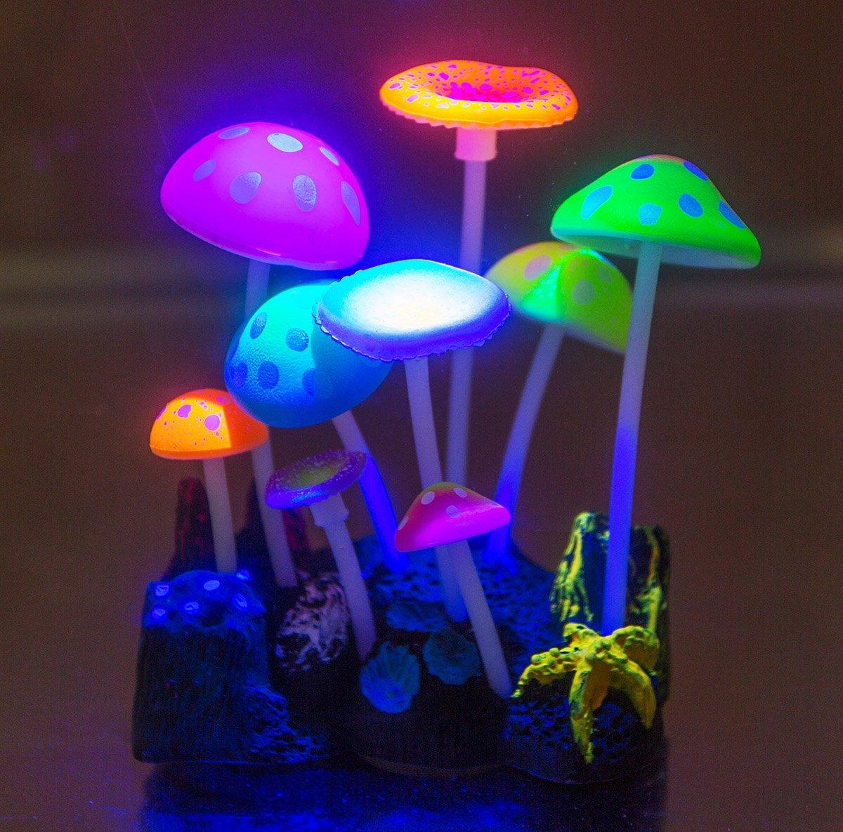 Aquarium decor mushrooms