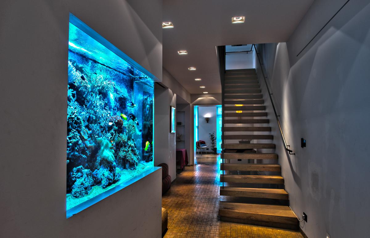 Decor for a large aquarium