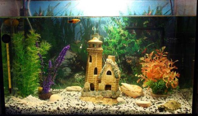 DIY aquarium decorations