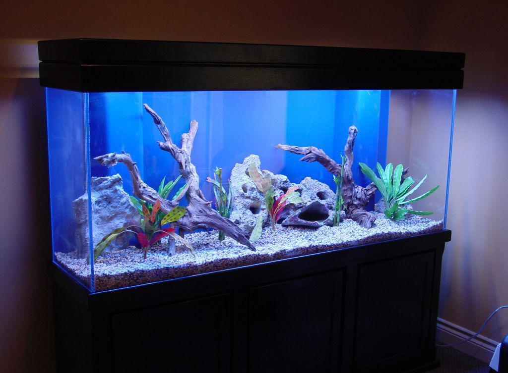 Decor for aquarium driftwood