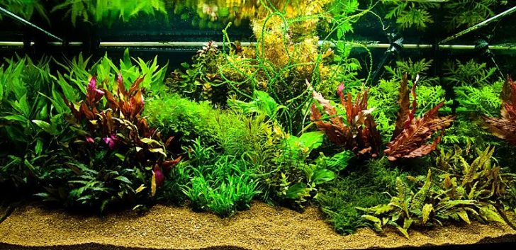 DIY aquarium decoration