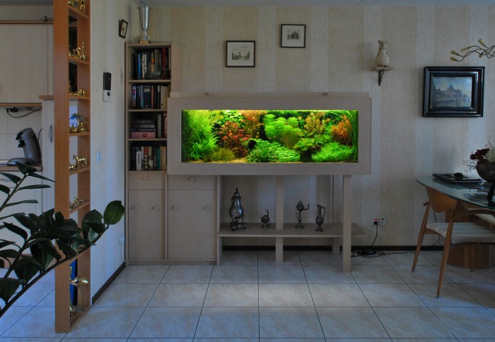 DIY aquarium decoration