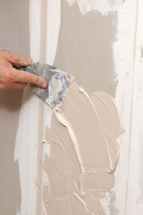 壁紙用の漆喰壁：素材の選択、アプリケーションの機能