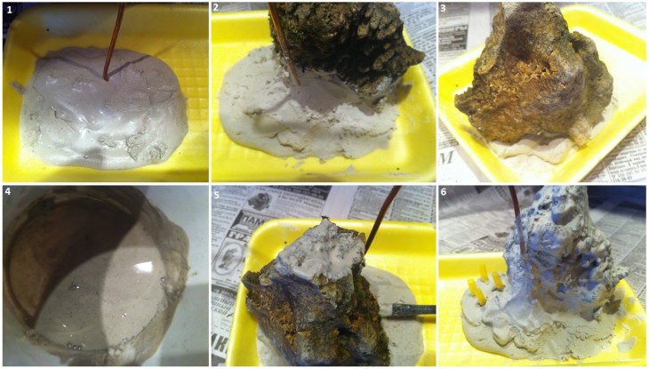 Doe-het-zelf gipsen sculpturen: uitvoeringstechniek, vormen en aanbevelingen