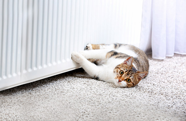 Methods and diagrams for connecting heating radiators: how to properly install