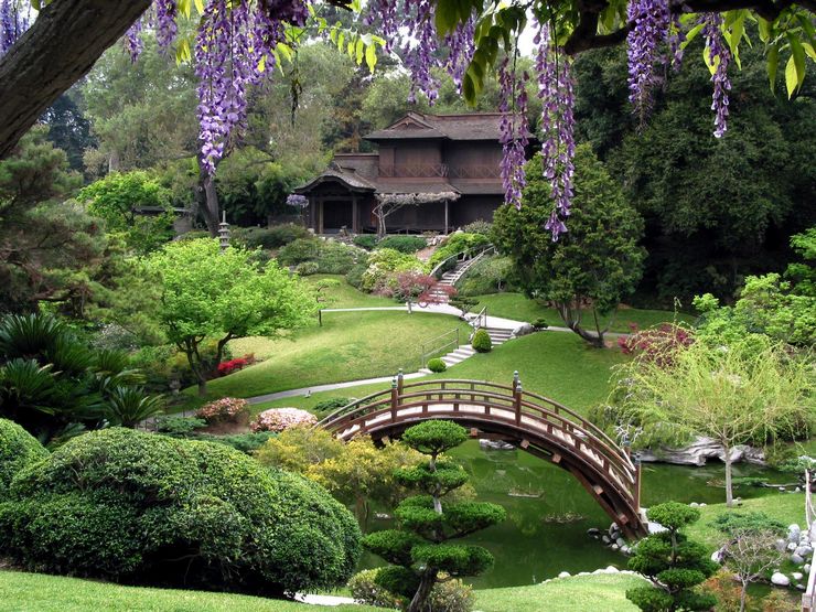 Japanese style landscape design