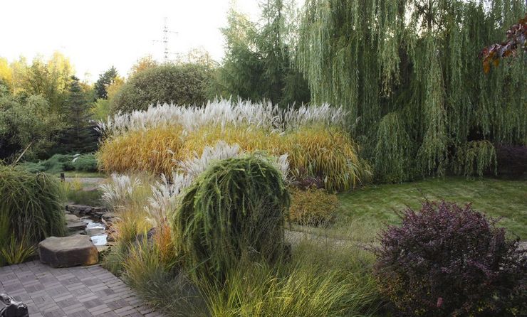 Еко-стил (или природна градина) в ландшафтния дизайн
