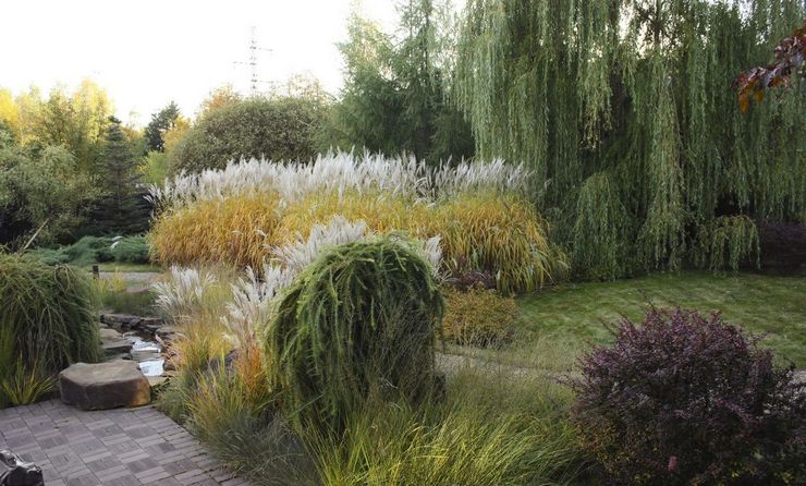 Eco-style (or naturgarden) in landscape design