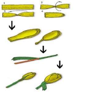 Paper tulips can also be made by another method - twisting strips. To do this, you do not need to cut each petal separately. It is enough to cut the paper into strips, twist them in the central part. Then fold in half and trim the edges so that they become semicircular.
