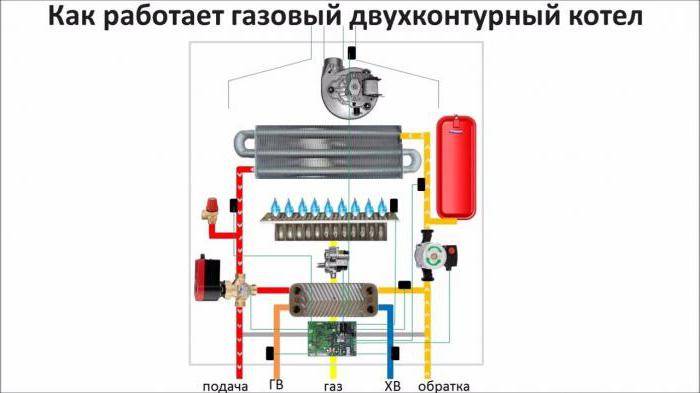 Как работи газов котел с двойна верига: описание на устройството и връзките