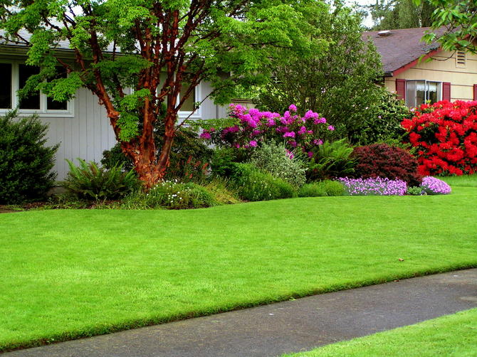 Parterre gazon