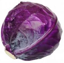 Red cabbage or purple cabbage is similar to white cabbage in shape, but only differs in color.