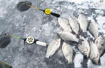 Winter fishing: we catch crucian carp with a jig